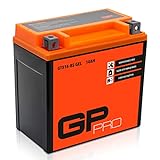 GP-PRO GTX14-BS 12V 14Ah GEL-Batterie (Kompatibel mit YTX14-BS / 51214) (Wartungsfrei & Versiegelt) Akkumulator Motorrad Motorradbatterie