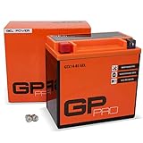 GP-PRO GTX14-BS 12V 14Ah GEL-Batterie (Kompatibel mit YTX14-BS / 51214) (Wartungsfrei & Versiegelt) Akkumulator Motorrad Motorradbatterie